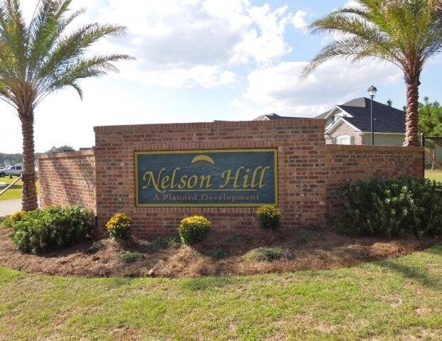 Building Photo - Beautiful 4-Bedroom Home with Fenced Yard in Highly Desirable Nelson Hill Subdivision!