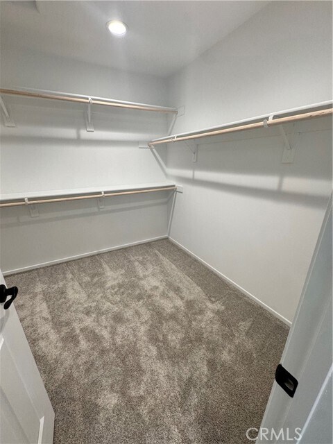 Building Photo - 401 Mistyblue Ct