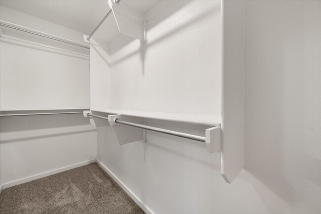 Building Photo - Bell Farms - 2410