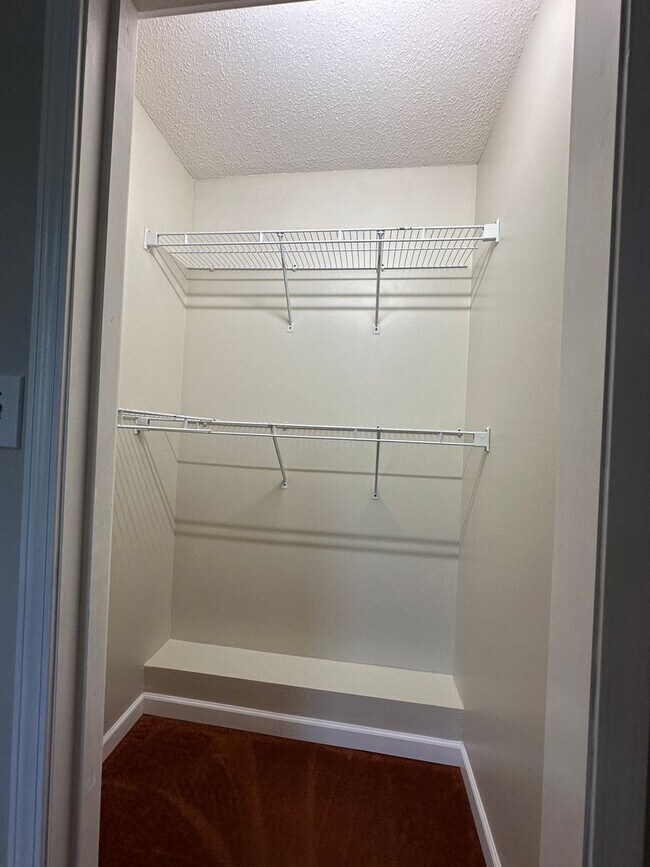 Building Photo - 256 Dumplin Ln