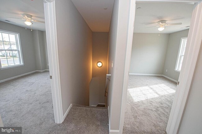 Building Photo - 241 Morgans Ct