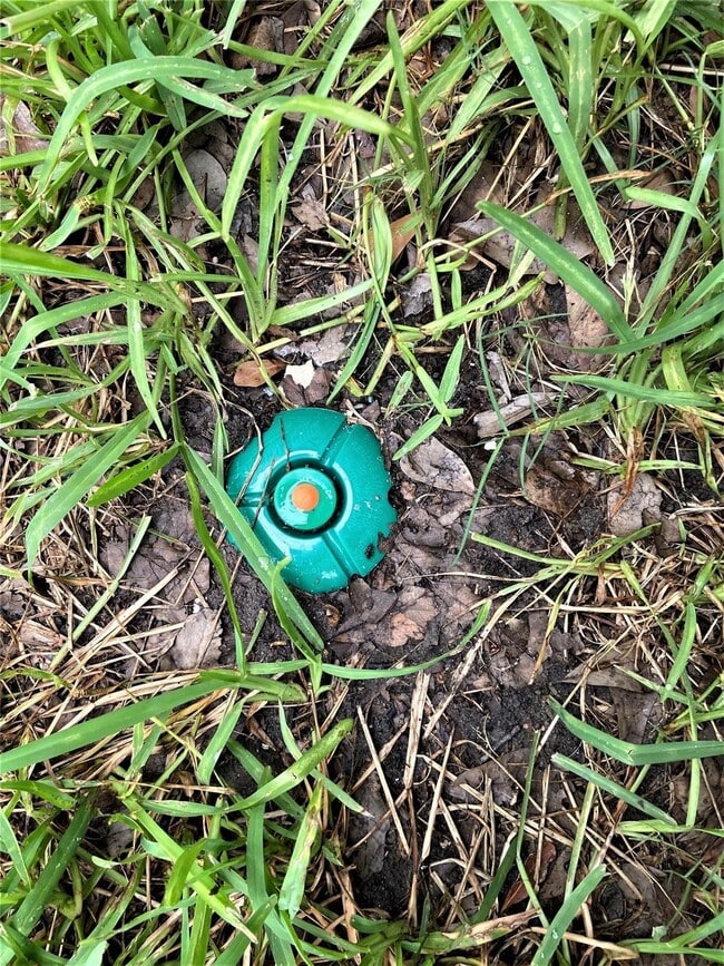 Building Photo - 4802 Ward St