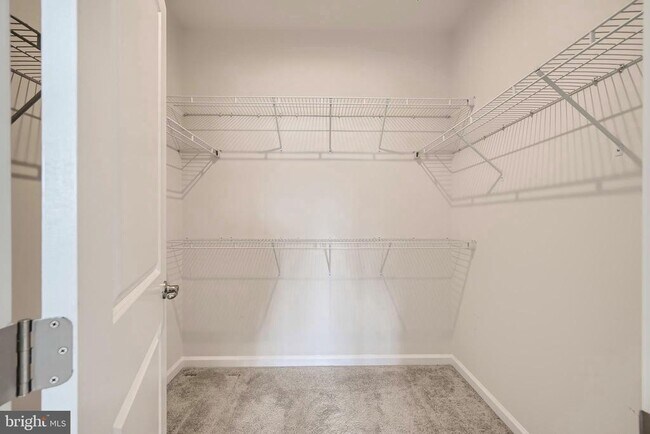 Building Photo - 2911 Stagg Ln