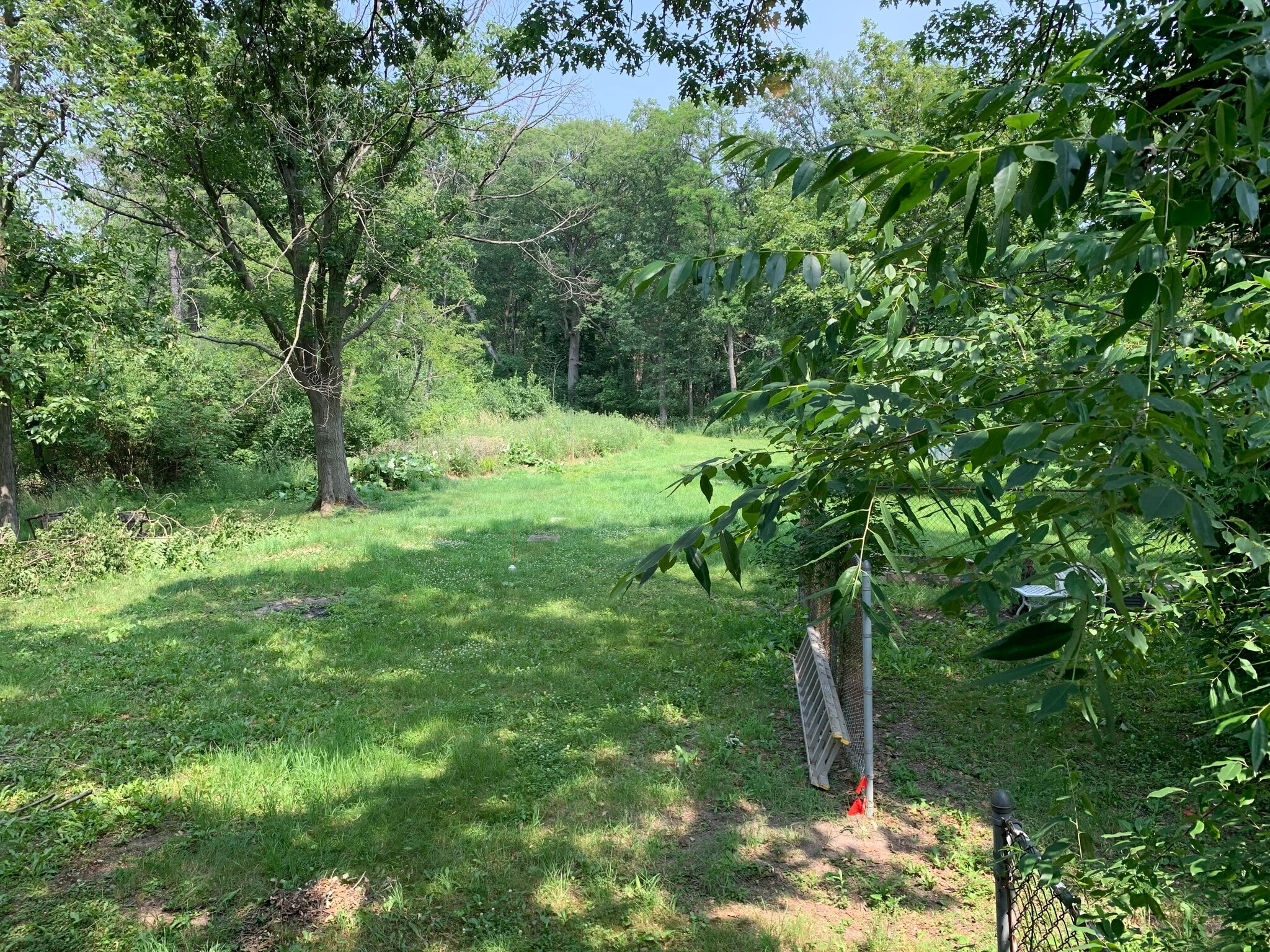 Backyard - 9121 Sheffield Ave
