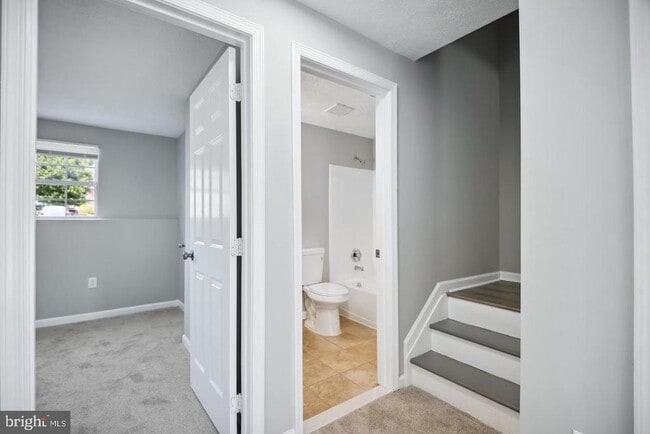 Building Photo - 7135 Ladd Cir