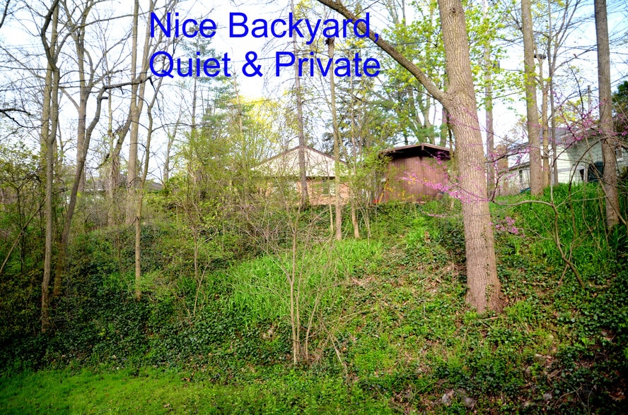 Backyard - 408 Montgomery Ave