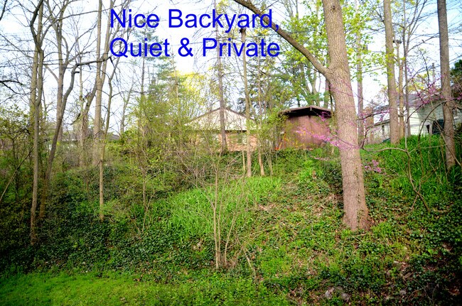 Backyard - 408 Montgomery Ave