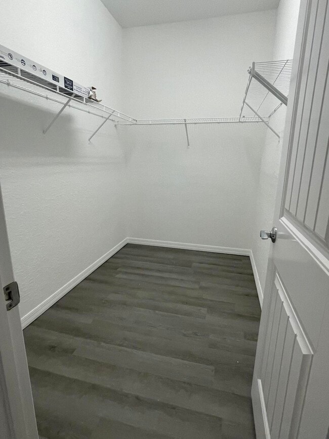 Building Photo - 4516 San Fratello Cir