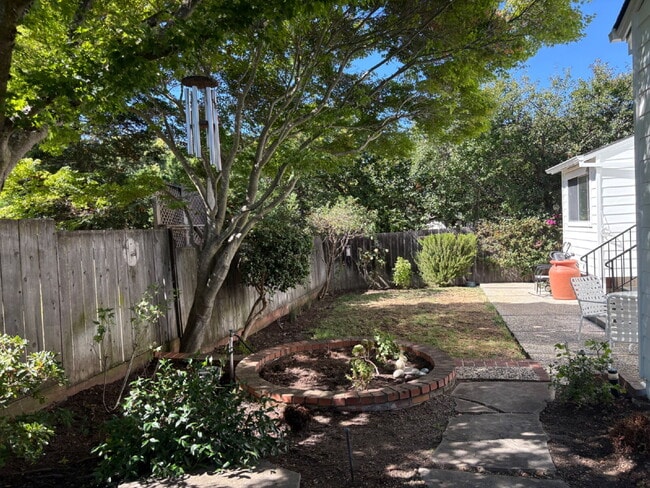 Building Photo - Coming Oct. 1, 2026 - Charming 3 bed, 2 bath with office on San Carlos Border