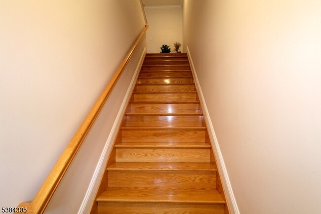 Building Photo - 349 Elm St