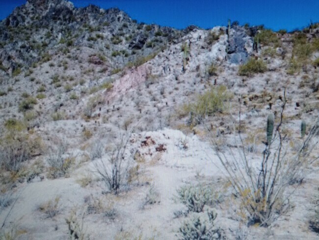 ONE YEAR PRICE GUARANTEE - 6734 N 19th St