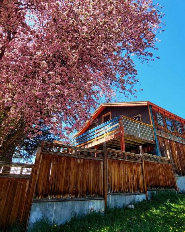 Building Photo - 1BD Loft in the Heart of Downtown Pagosa Springs