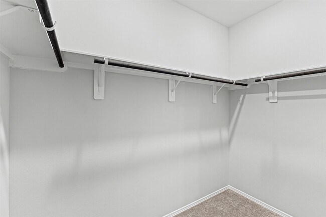 Building Photo - 10718 Soapberry Ct