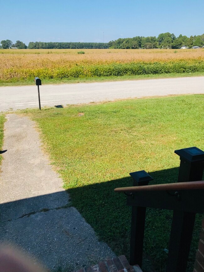 Building Photo - 587 7th St