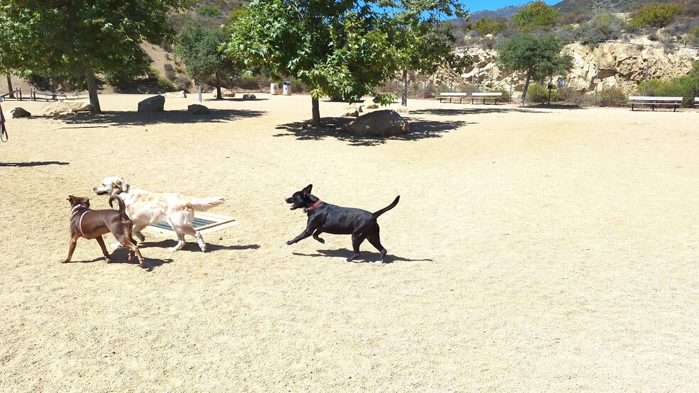 Dog park blocks away - 6216 Paseo Canyon Dr