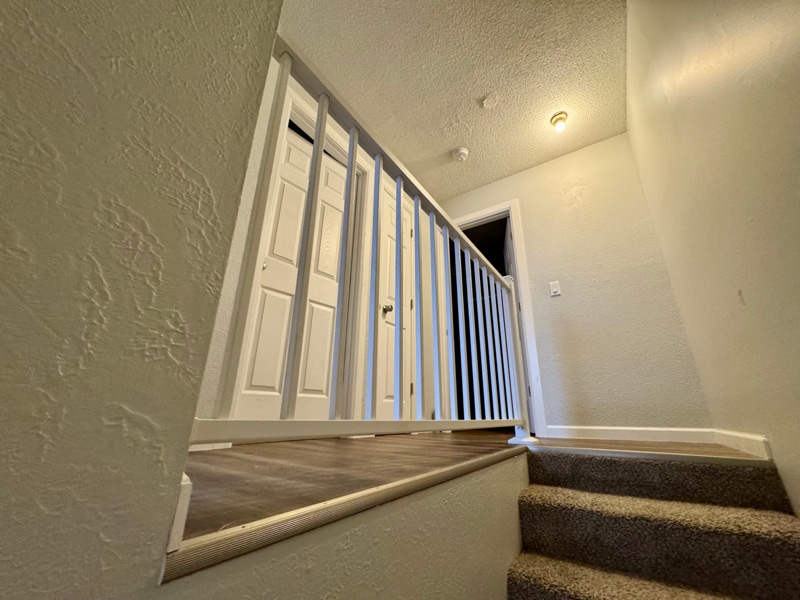 Building Photo - 623 Sycamore Cir