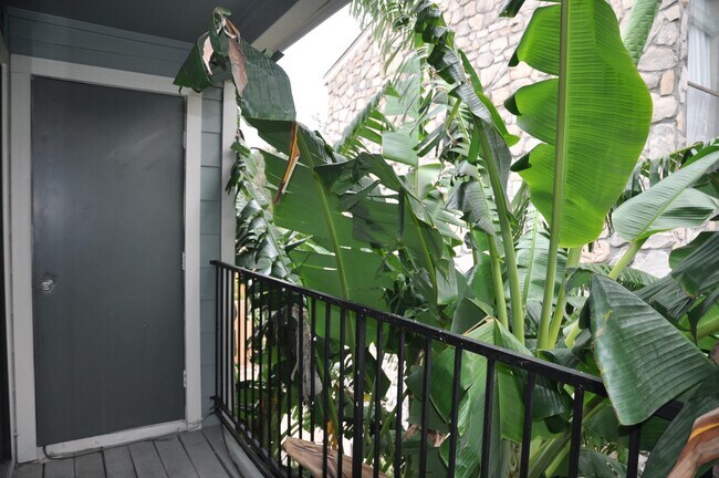 Building Photo - 3754 Tanglewilde St