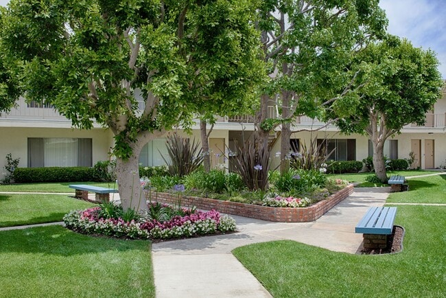 Building Photo - Cambridge Apartments