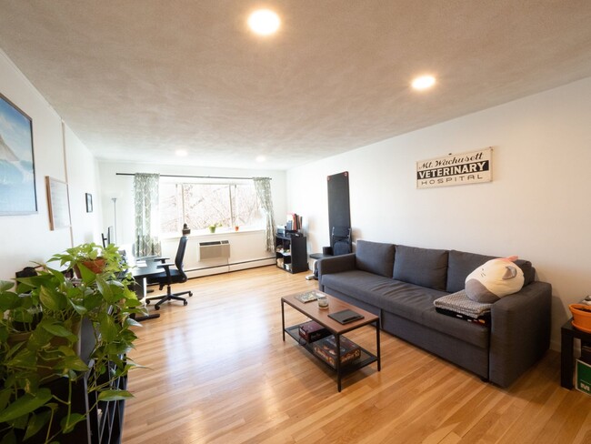 Building Photo - Spacious, Bright, and Updated 1 Bed With P...