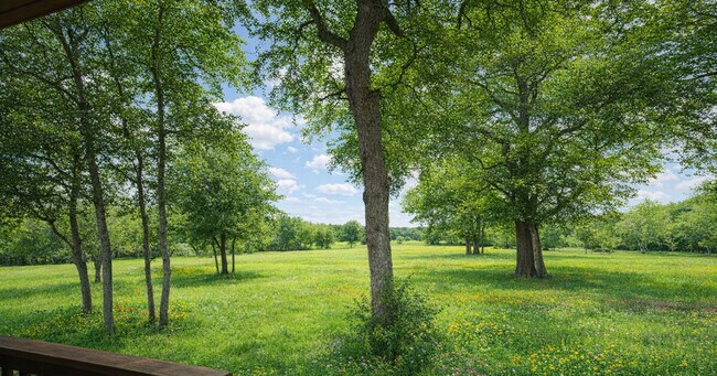 Building Photo - 299 Willow Springs Dr