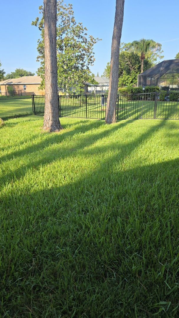 Building Photo - Palm Coast 4 Bedroom 2 Bath in the W Section