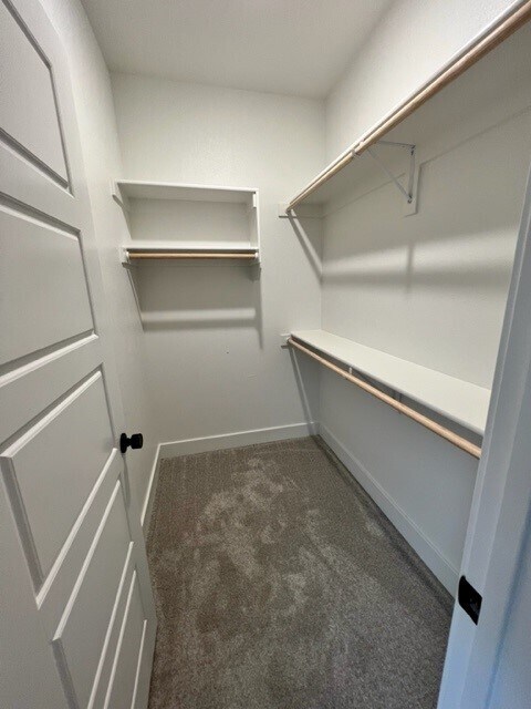 Building Photo - 6203 SW Prism Path St