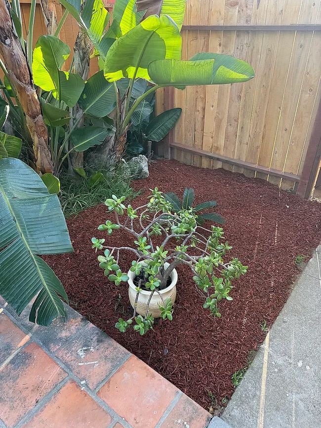 Building Photo - 3739Jewell St, San Diego, CA 92109, #unit 2