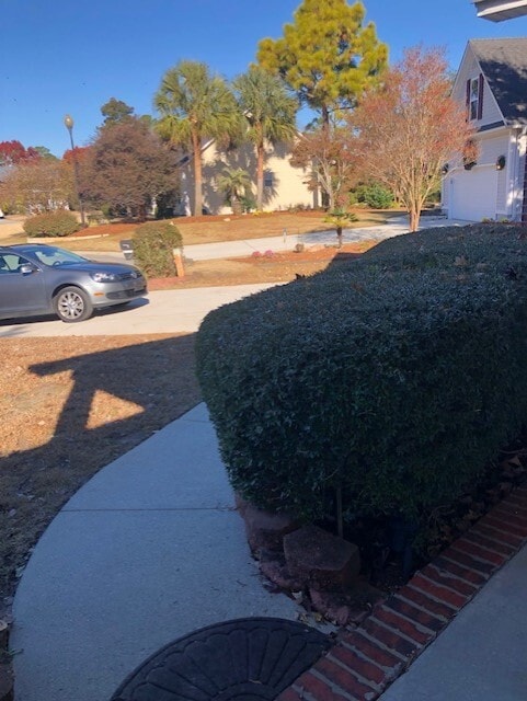 Building Photo - 905 Lowry Ct