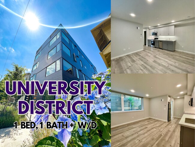 Interior Photo - University Flats