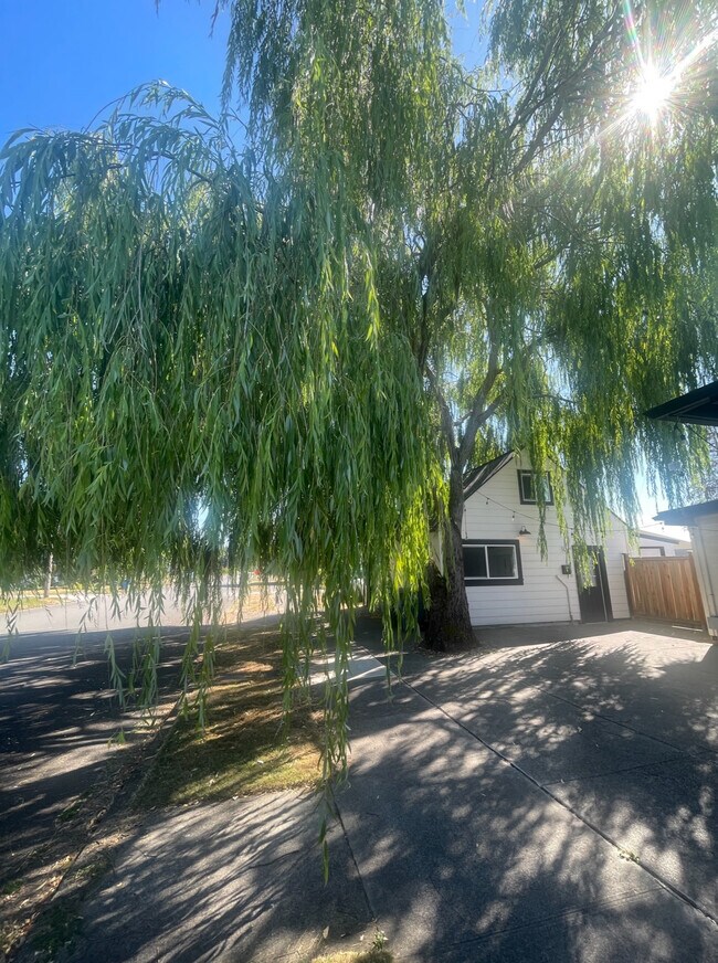 Building Photo - 1102 6th Ave SW