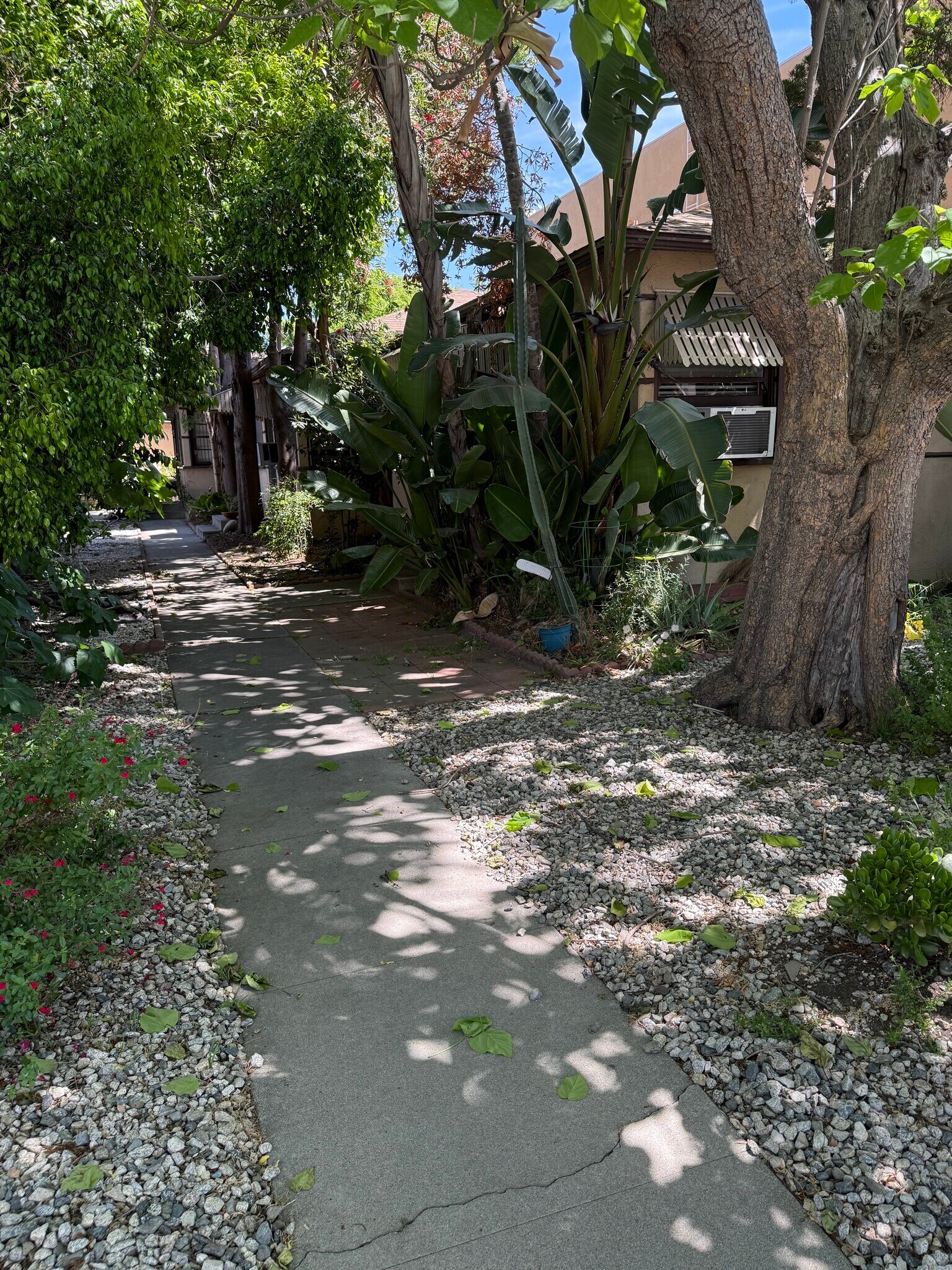 Building Photo - 10907 Camarillo St