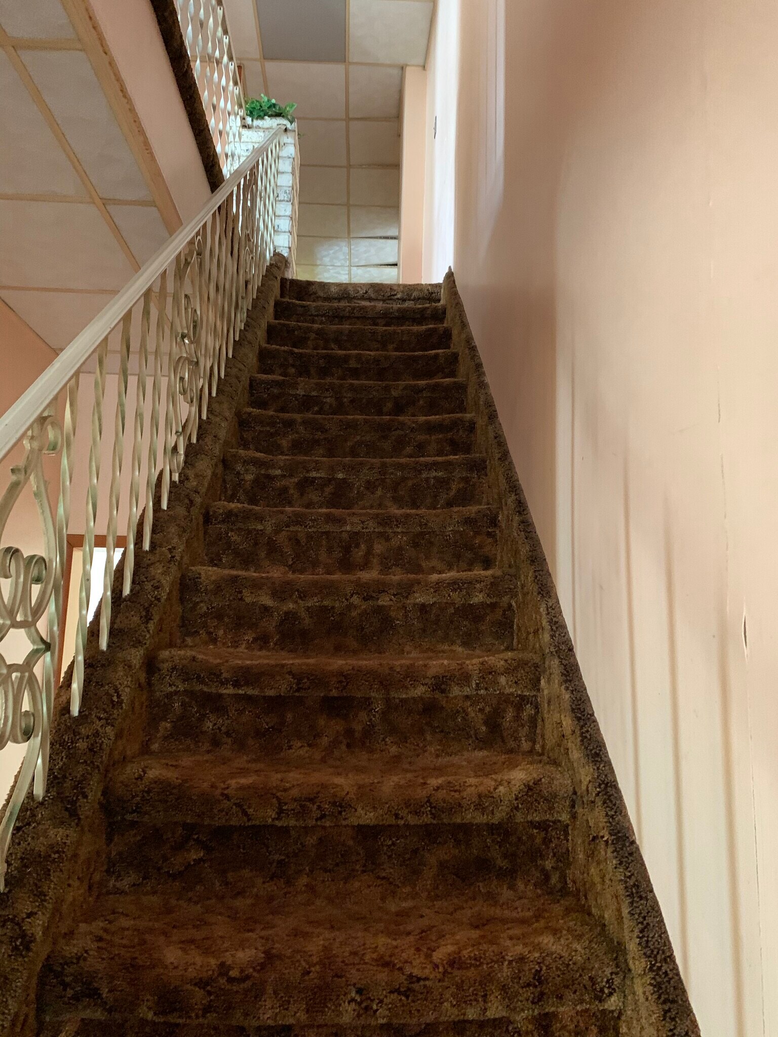 Building Photo - 816 Green Ridge St