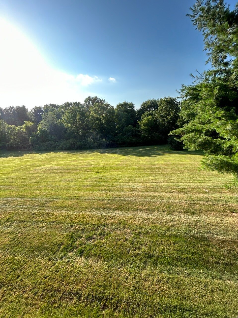 Building Photo - 225 Woodhaven Dr