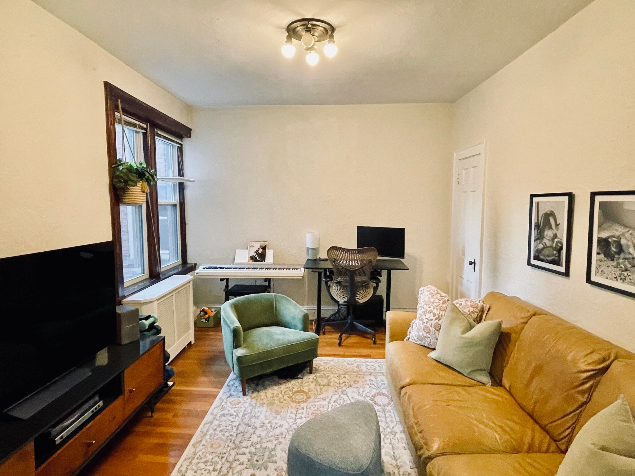 Building Photo - 17 Gray St