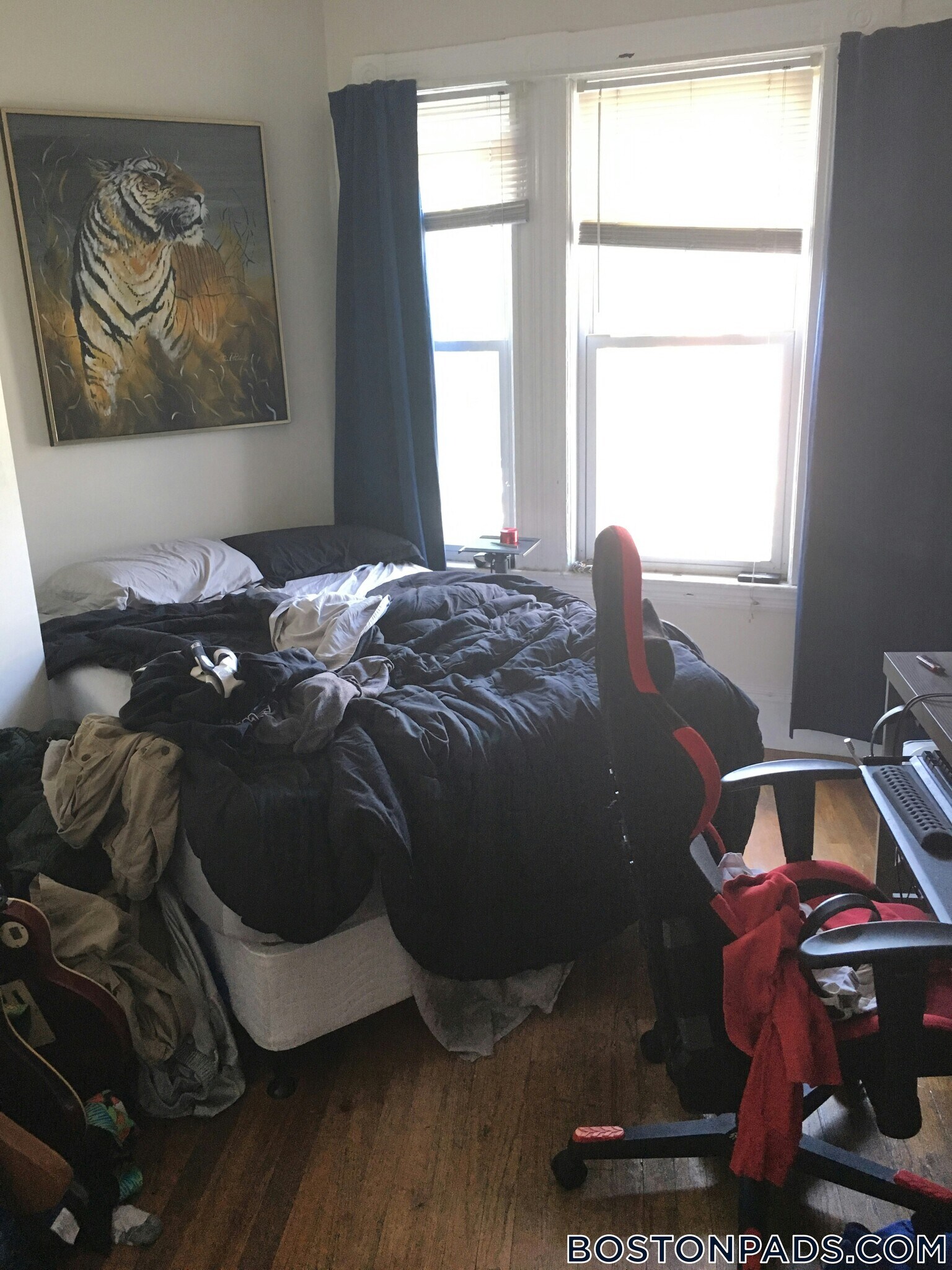 Building Photo - 256 Summer St