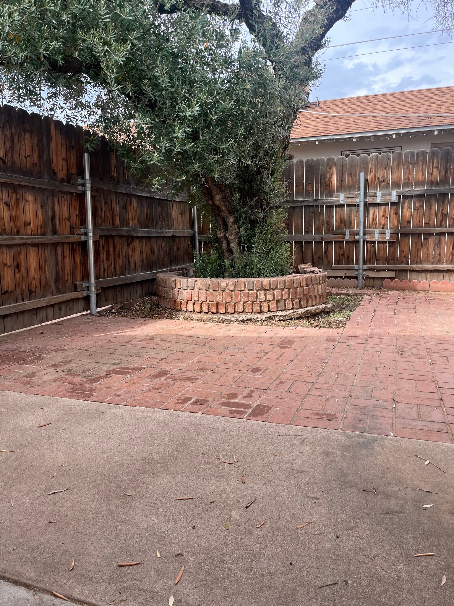 Backyard - 902 E Amelia Ave
