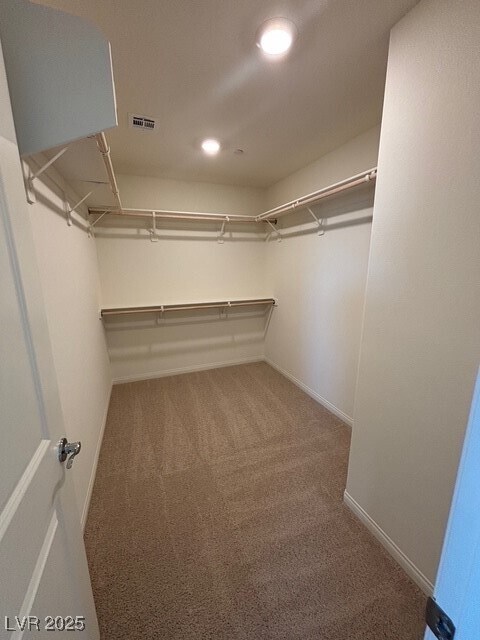 Building Photo - 1131 Northern Cardinal Dr
