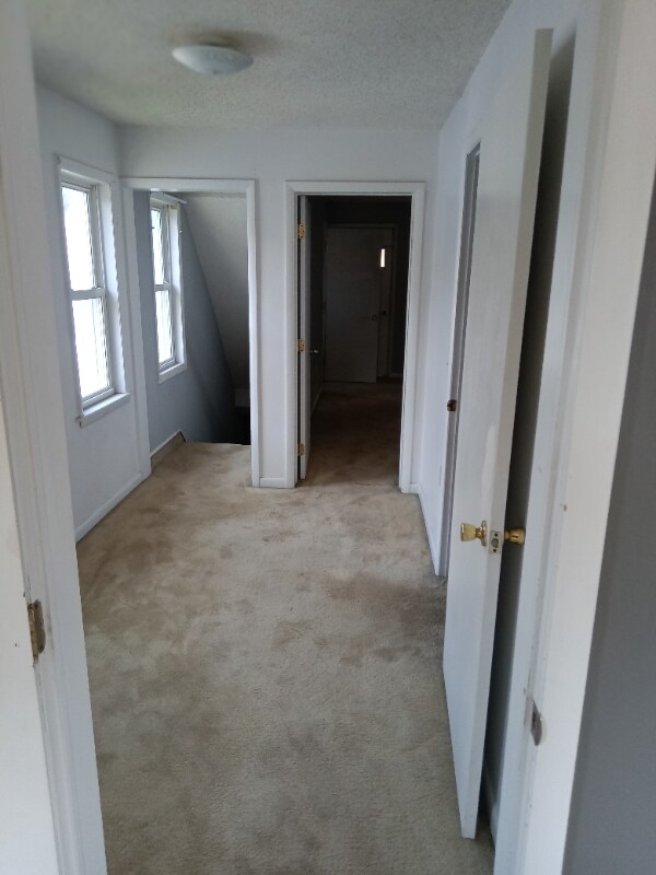 Building Photo - 408 Willow Ave