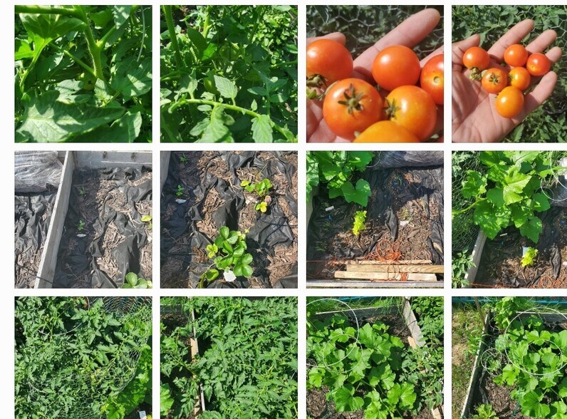 Building Photo - 528 W 4th St