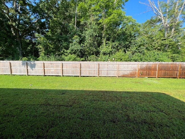 Building Photo - 4 Bedroom New Construction Home in Ascensi...