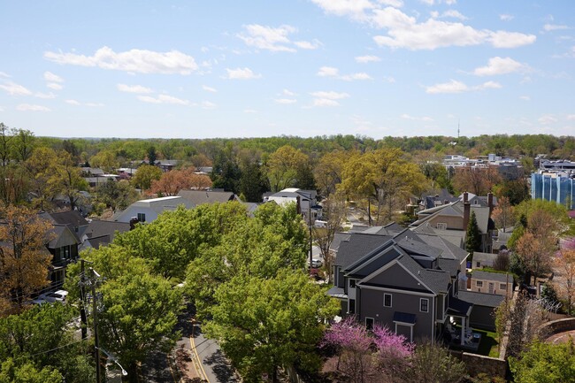 Building Photo - 7111 Woodmont Ave