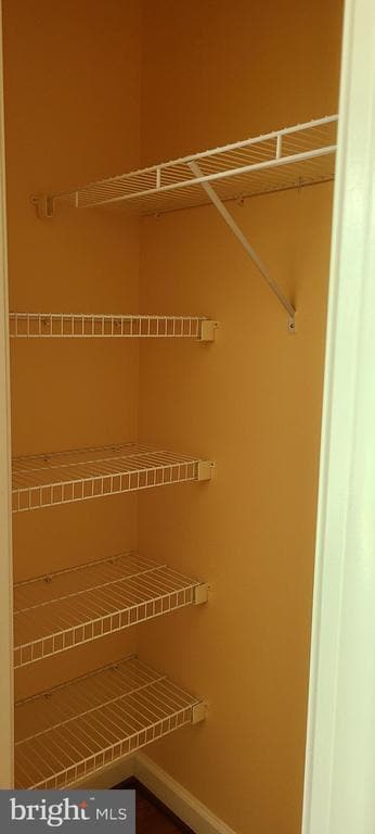Building Photo - 4506 Nightingale Ct