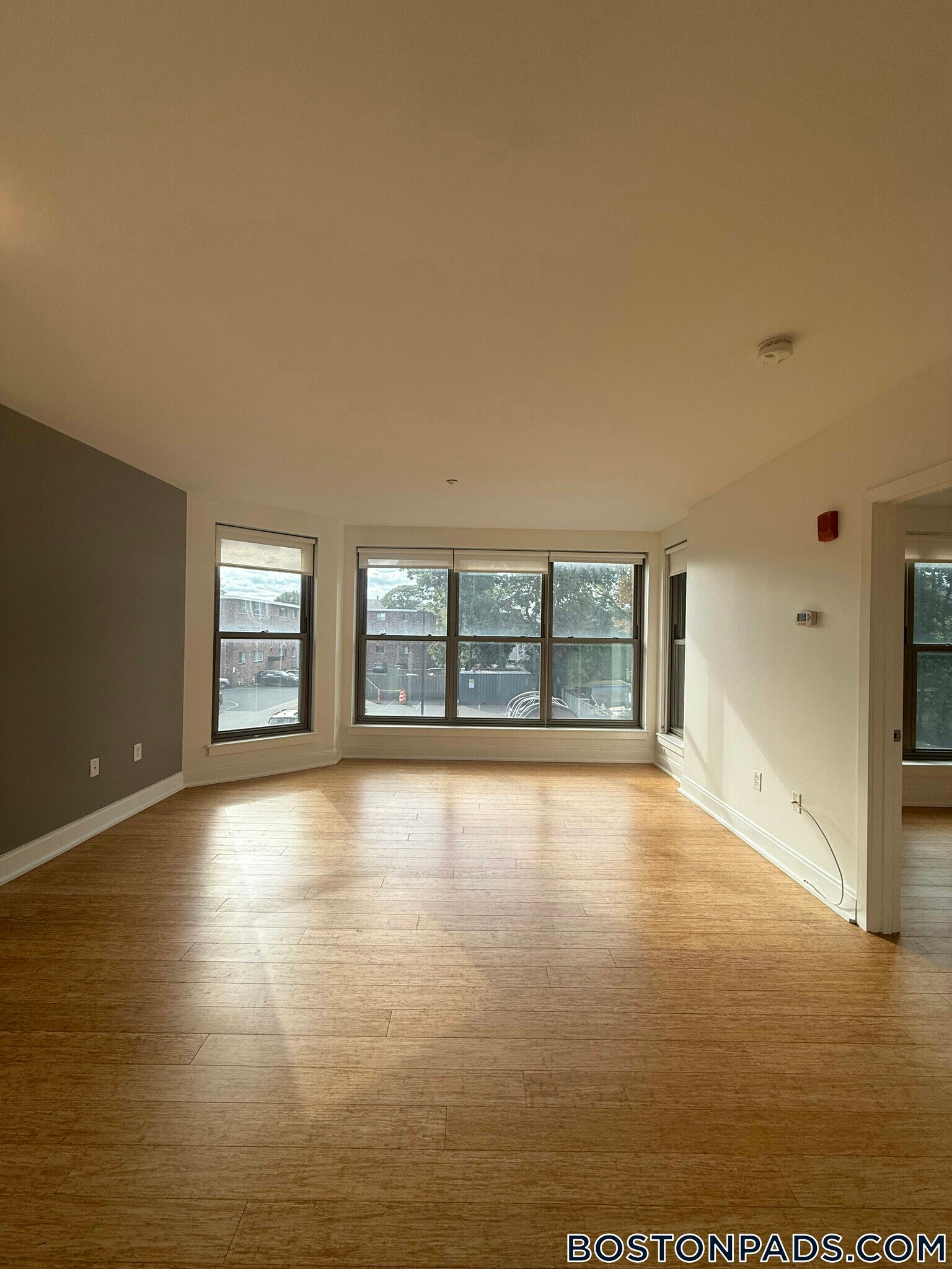 Building Photo - 40 Malvern St