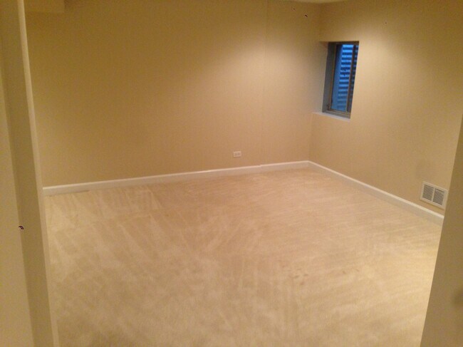 Basement Family/Bonus Room - 804 Skokie Blvd