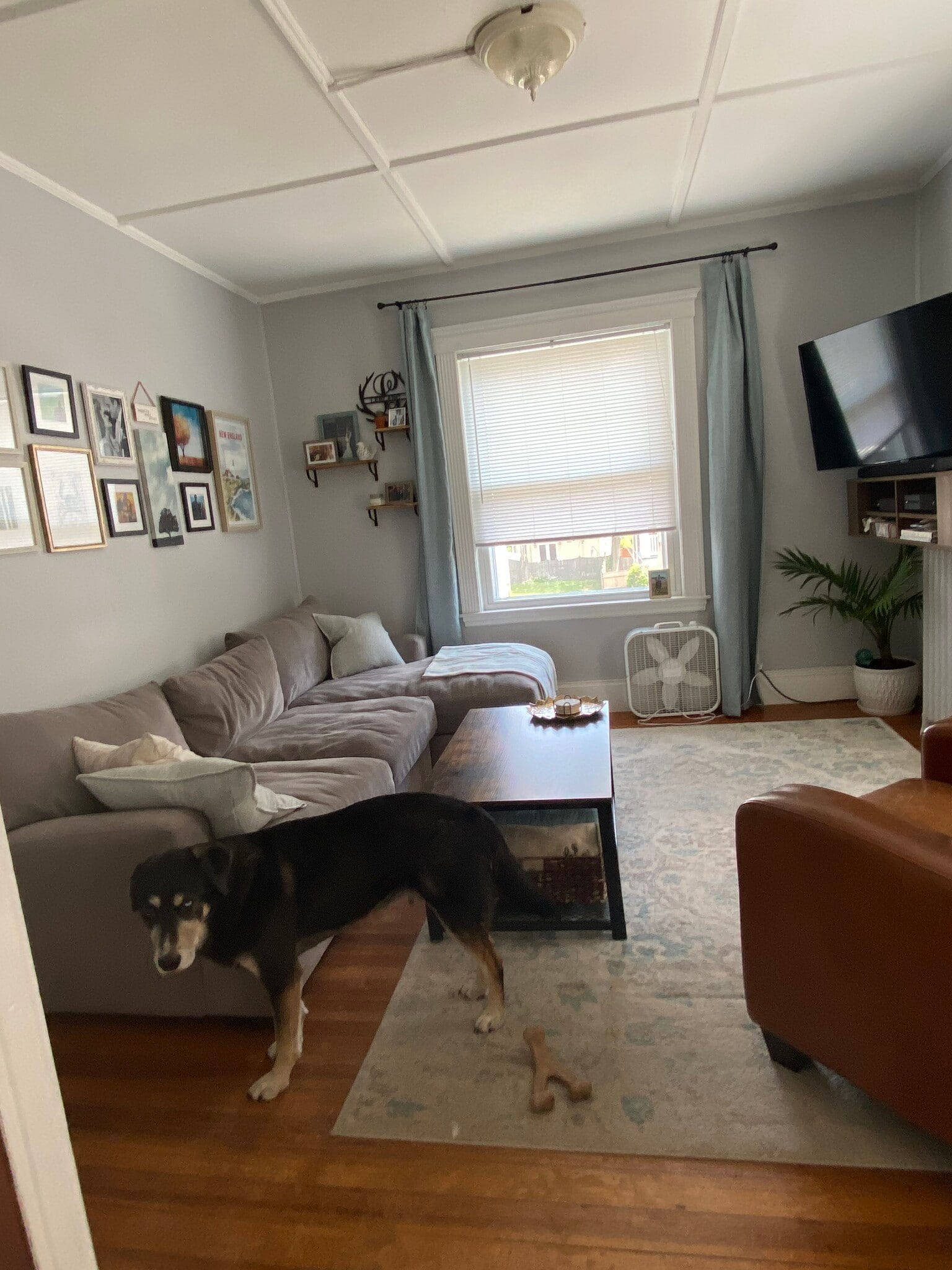 Building Photo - 37 Bellevue Ave