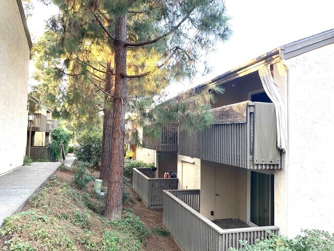 Building Photo - 3148 Via Alicante Via