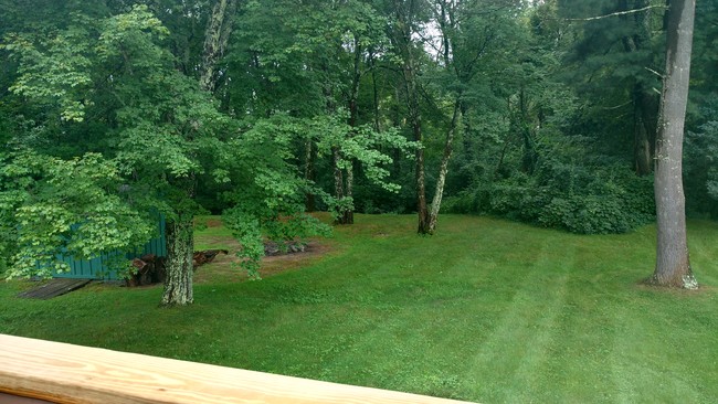 View from deck pond is to the right - 37 Porcupine Cir