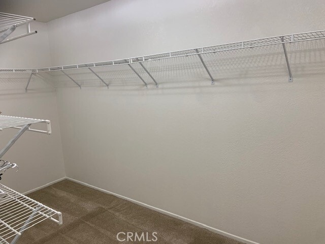 Building Photo - 4179 Crooked Stick Ln