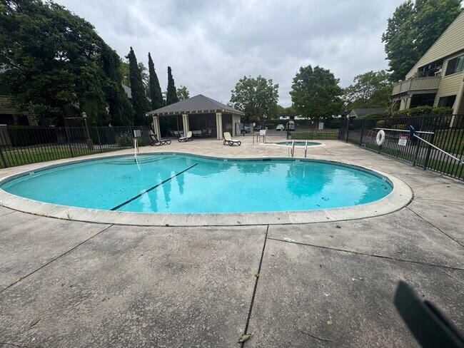 Swimming Pool - 233 Enterprise Dr