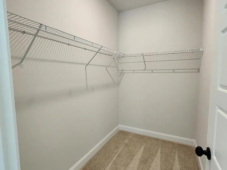 Building Photo - 4137 Fringetree Loop